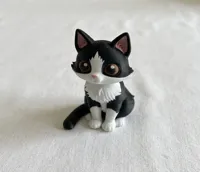CAT-GRAY-WHITE-0.2mm layer, 2 walls, 8% infill