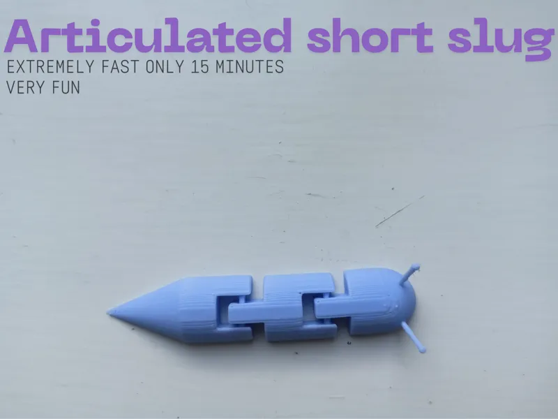 Articulated short slug 