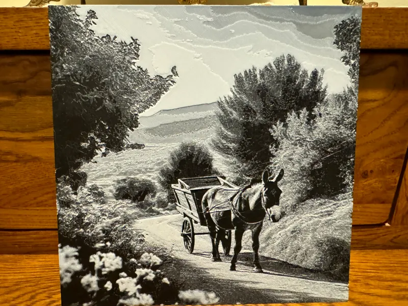 Donkey with Cart in Mountain Pass