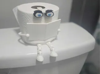 Toilet paper roll eyes
