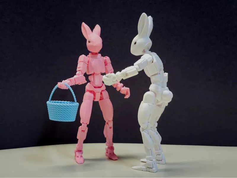Bunny 13