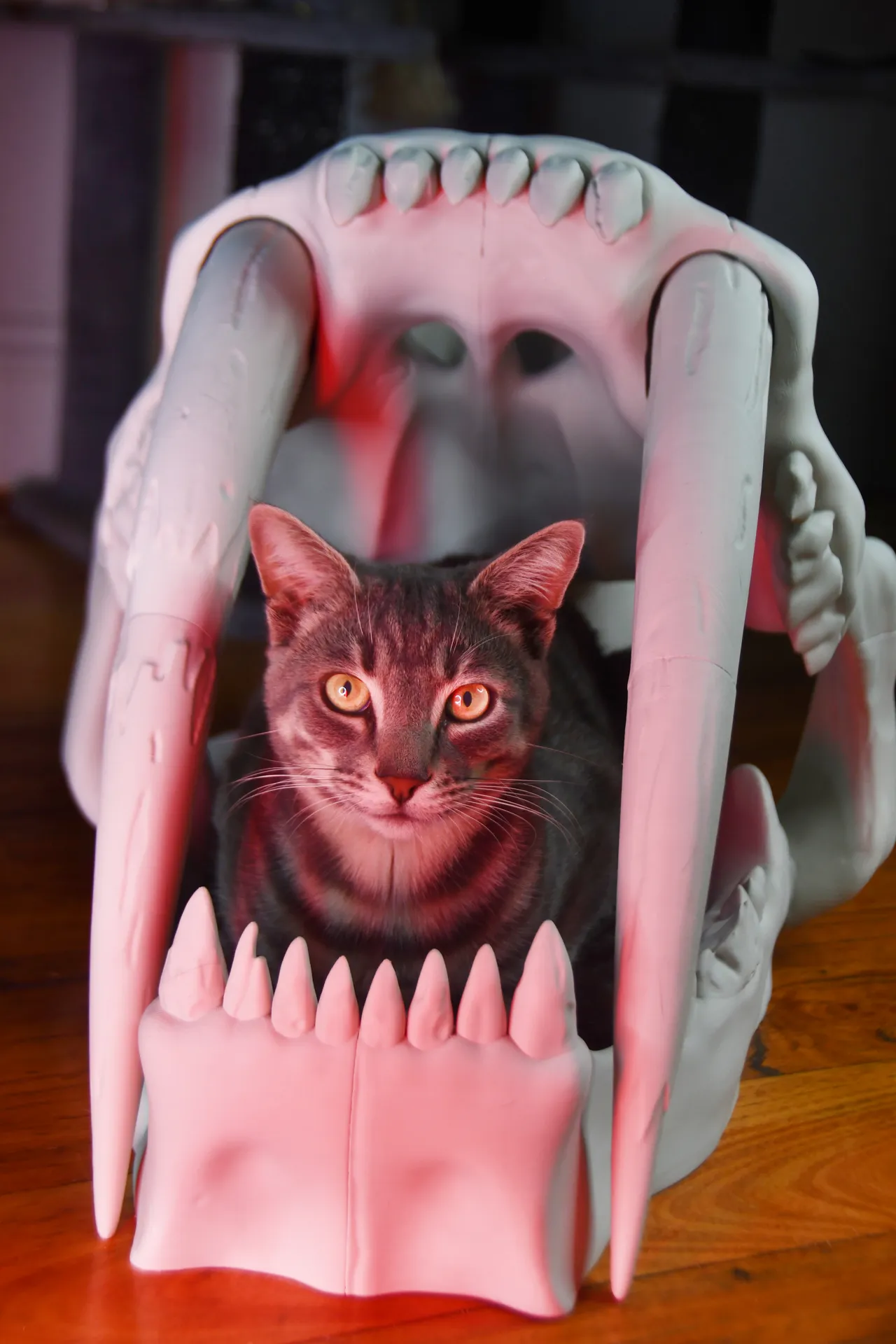 Saber Tooth Tiger Skull Pet Bed view 2