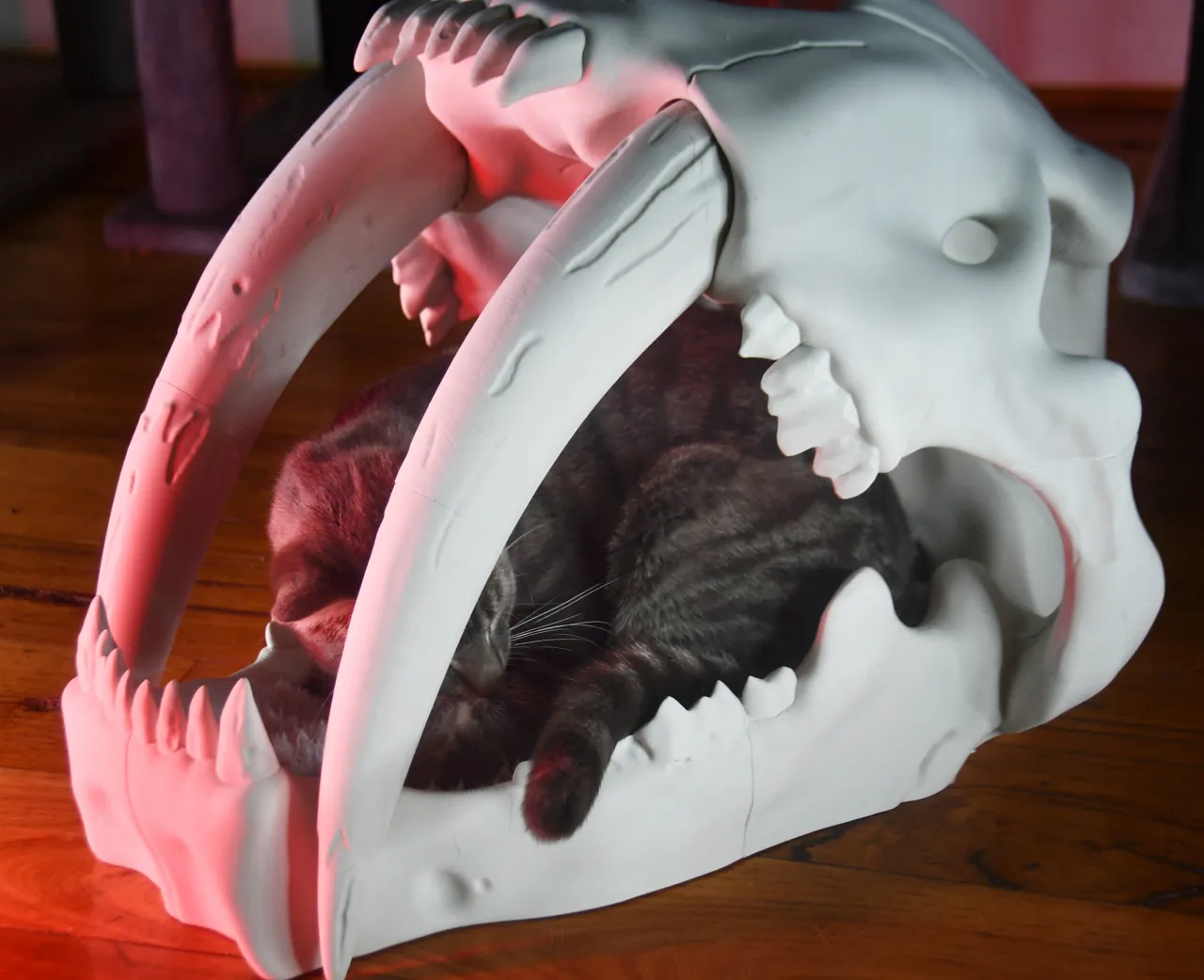 Saber Tooth Tiger Skull Pet Bed view 4