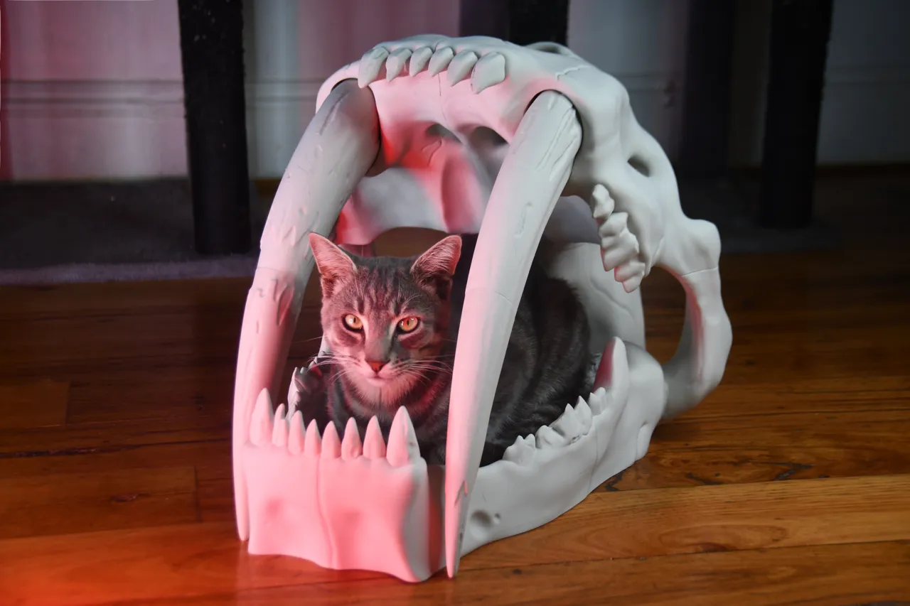 Saber Tooth Tiger Skull Pet Bed view 3