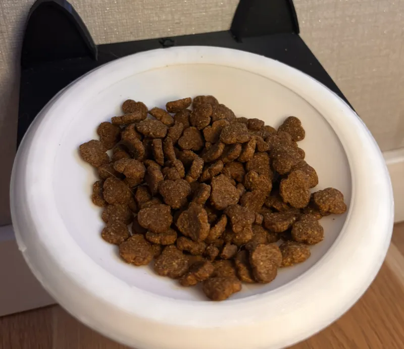 Food bowl
