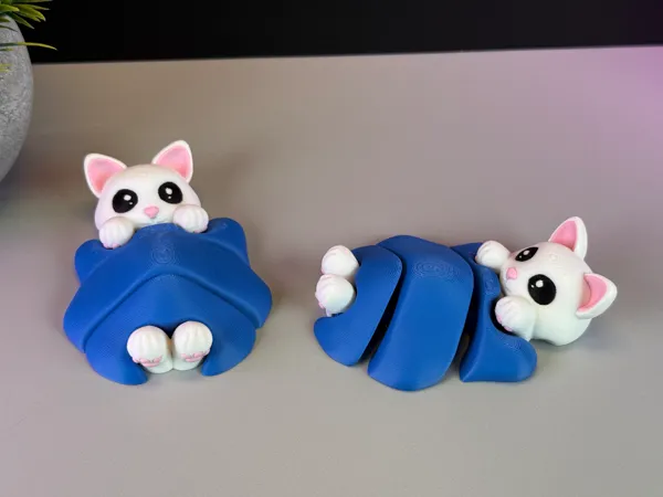 https://makerworld.bblmw.com/makerworld/model/USb31b41b0c233f4/design/2025-02-02_fea6fd208a2678.jpg