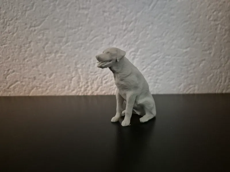 Hund (Labrador)