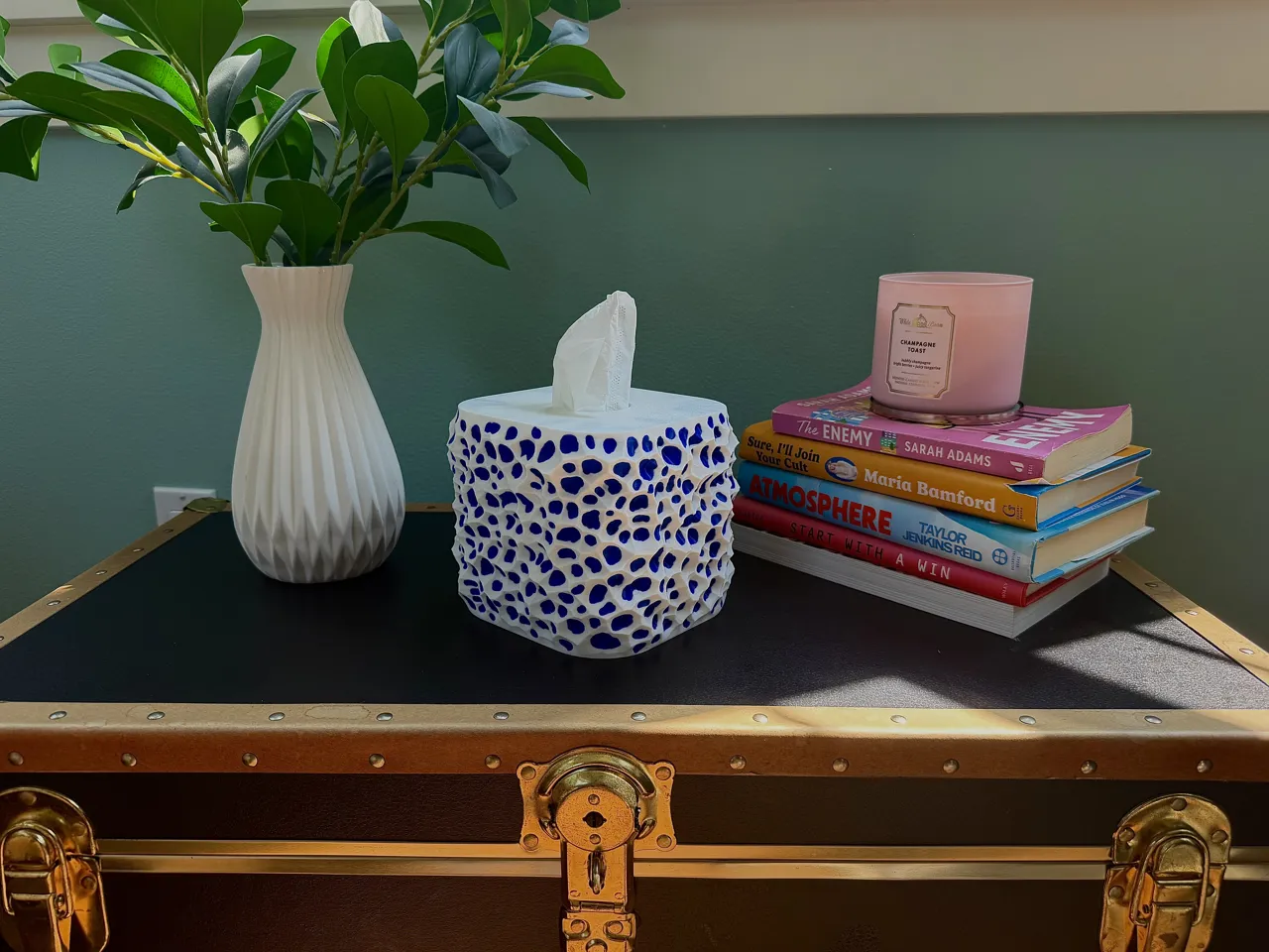 Coral Tissue box cover view 2