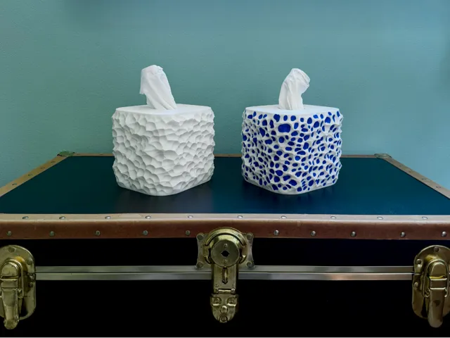 Coral Tissue box cover