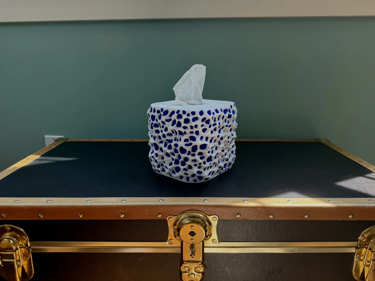 Coral Tissue box cover view 4