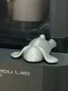 Lying bunny