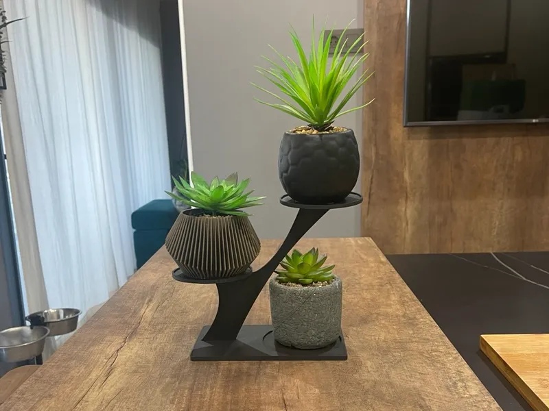 Soporte/Estante cactus o maceta