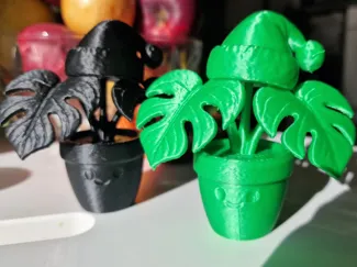 Merry Monstera Mini – Cute Christmas Plant Buddy