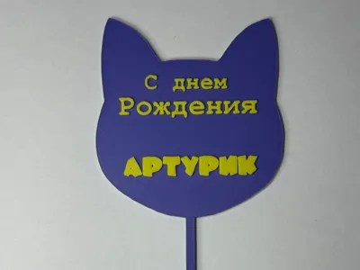 Topper cat | Топпер кот