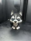 Black Husky