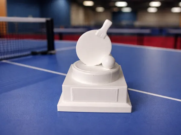 https://makerworld.bblmw.com/makerworld/model/USb33a38fe1af06/design/90d38a89d25b7cd2.png