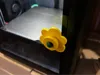 0.2mm layer, 3 walls, 10% infill