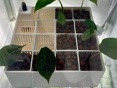 Modular Water Planter - hydroponic system