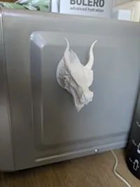 Tête de dragon aimantée — photo 3