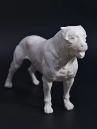 Figurine Rottweiler — photo 3