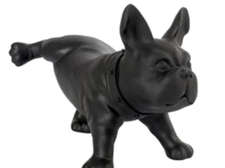 BULLDOG FRANCESE che fa pipì