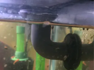 1 Inch Bulkhead Strainer For Aquariums