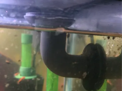 1 Inch Bulkhead Strainer For Aquariums