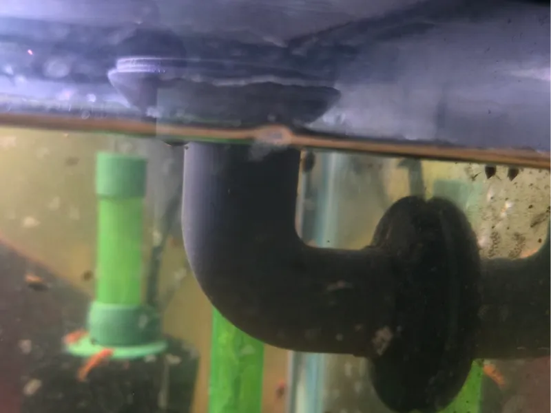 1 Inch Bulkhead Strainer For Aquariums