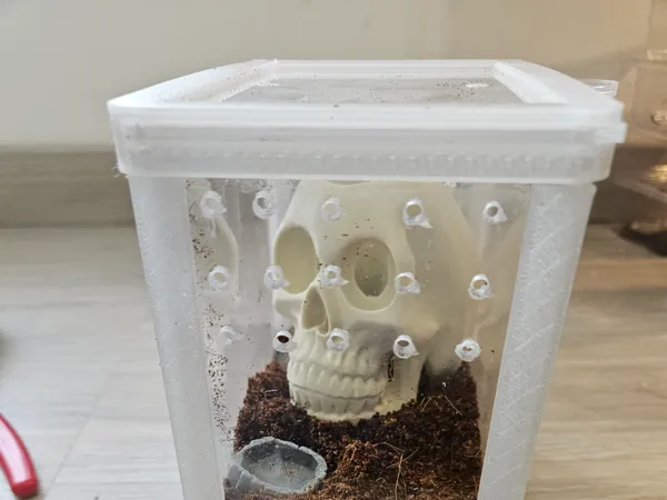 https://makerworld.bblmw.com/makerworld/model/USb34aeff2435c90/design/2025-08-19_30d570aeff63d8.jpg