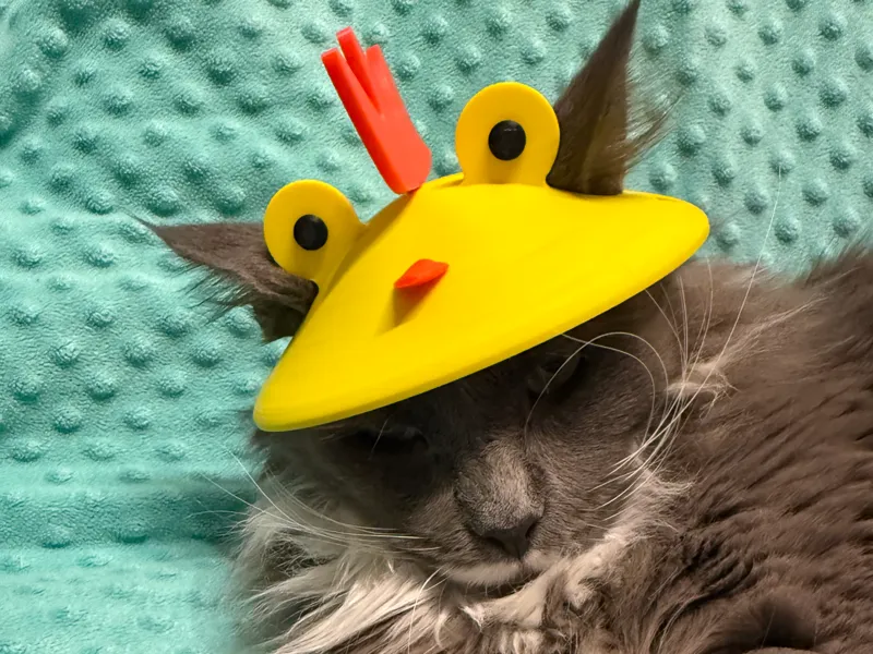 Chicken‑Style Pet Helmet (Cat/Dog) Cat - hat