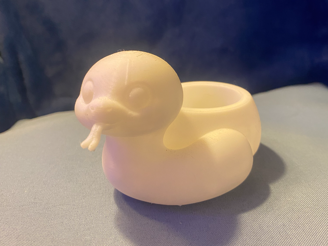 Snake Succulent Pot