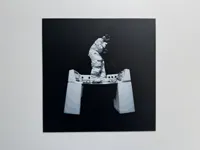 0.08mm layer, 2 walls, 100% infill