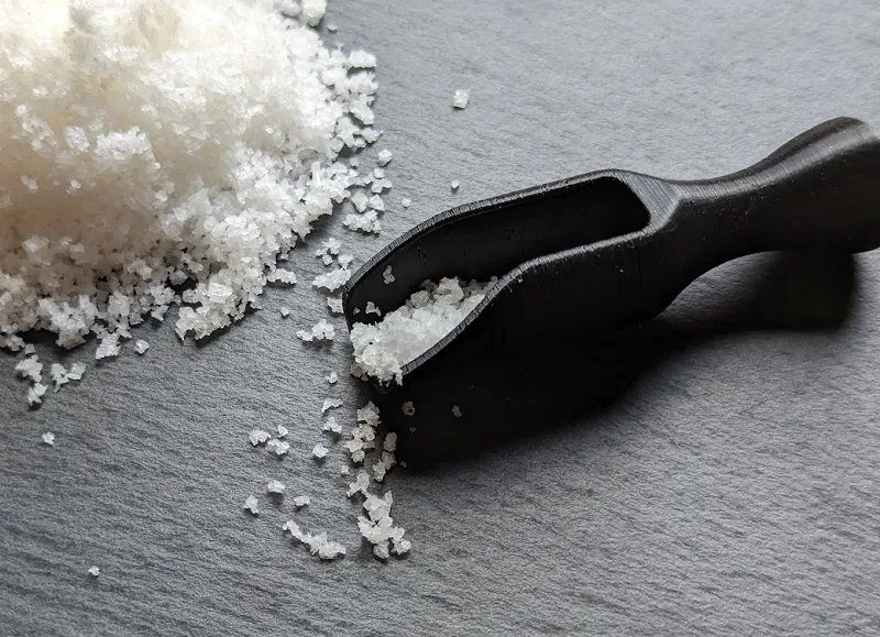Scoop for spices, salt, etc