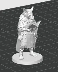 0.16mm layer, 2 walls, 15% infill