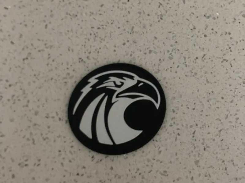 Eagle coaster