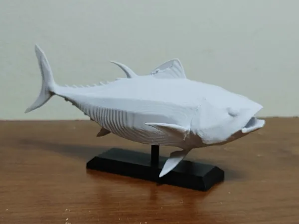 https://makerworld.bblmw.com/makerworld/model/USb359f98e02c86d/design/2024-12-24_069b0d131a27f.jpg