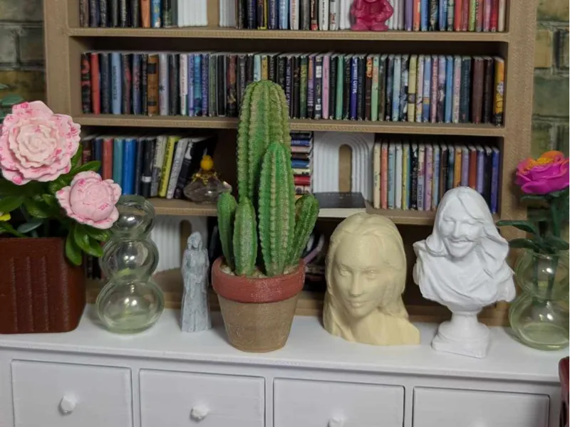 RachCactus1