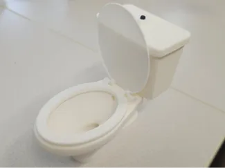 Realistic Model Toilet