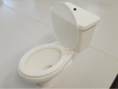 Realistic Model Toilet