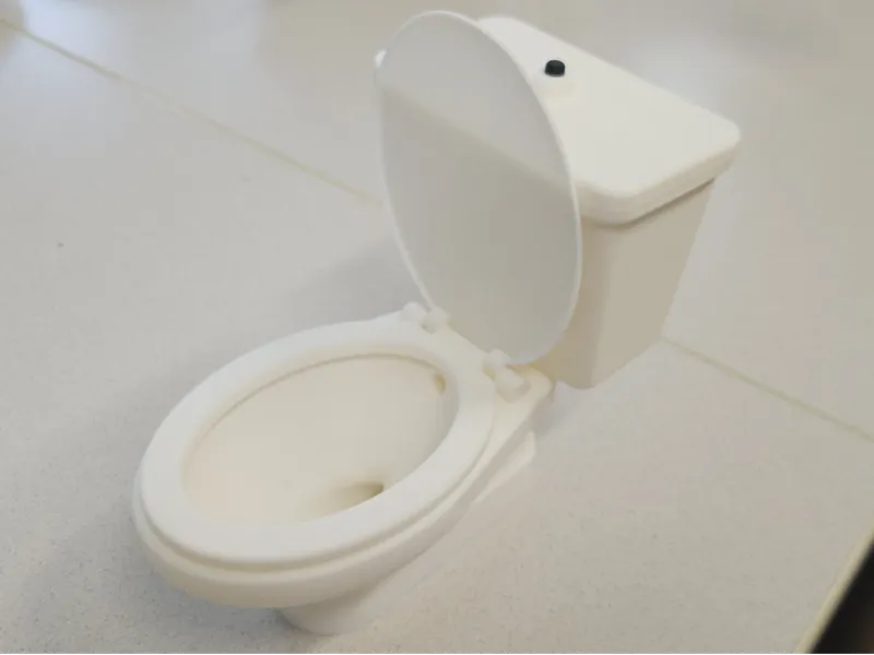 Realistic Model Toilet