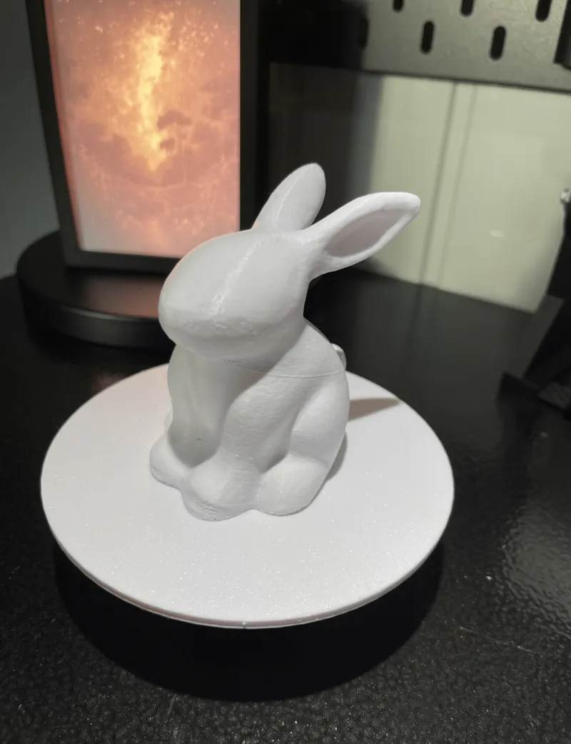 3D Scanned Small "Detailed" Bunny