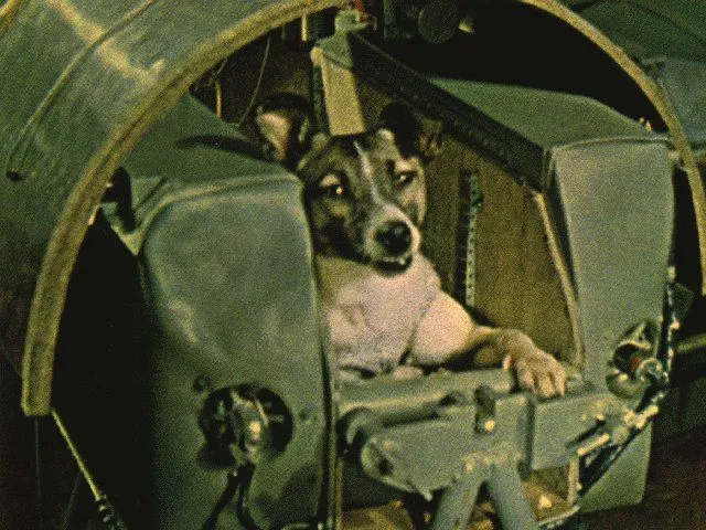 Laika (Sputnik 2) – Space Dog Memorial