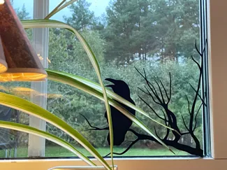 Raven silhouette