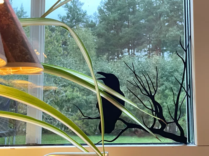 Raven silhouette