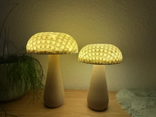 https://makerworld.bblmw.com/makerworld/model/USb35e231d708de4/design/2025-08-24_a16afb2c8169.jpeg