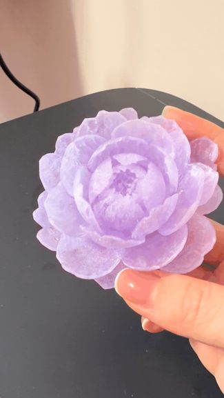 透明牡丹芍药 / Fingertip Peony Gift Flower