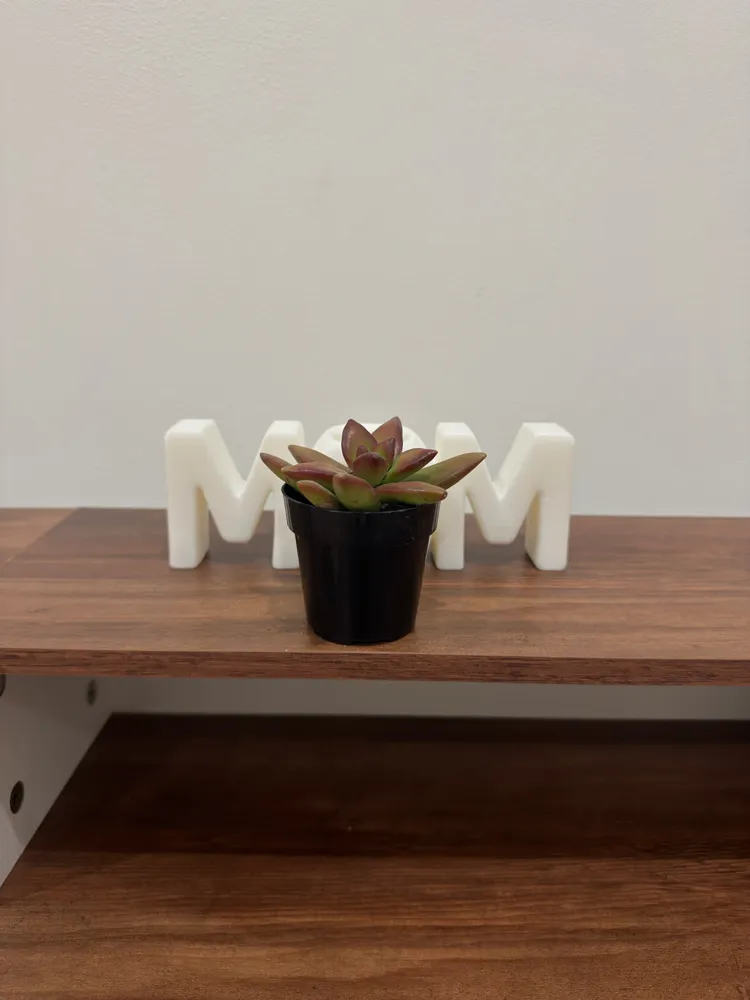 Mom vase - Free 3D Print Model - MakerWorld