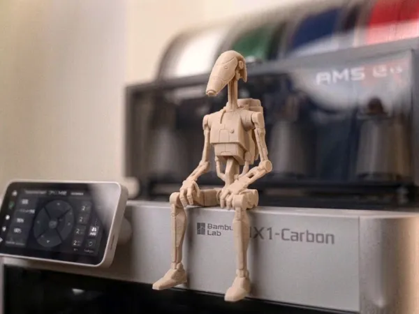 https://makerworld.bblmw.com/makerworld/model/USb36bd5f17c4e26/design/b8252f84774dd480.jpeg