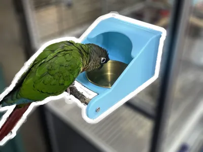 Parrot Food Container