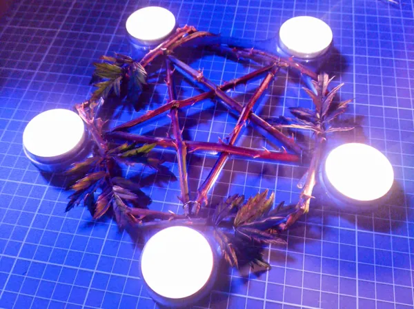 https://makerworld.bblmw.com/makerworld/model/USb371b0165ac258/design/2025-03-02_a159a3f699c5f.jpg